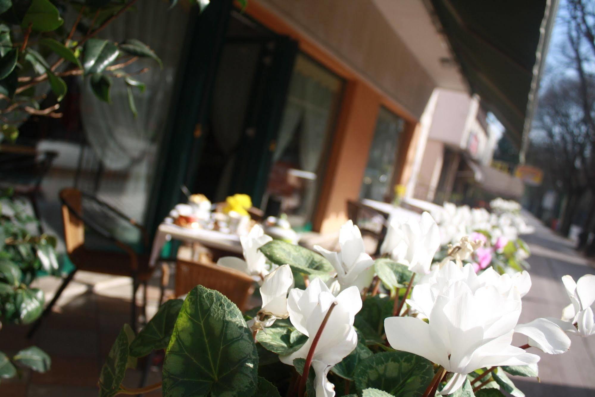 Hotel Damodoro Pordenone Exterior foto